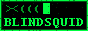 BLINDSQUID — the signal was here first